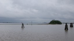 DSC06506