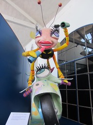 IMG_5990