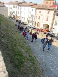 IMG_5993