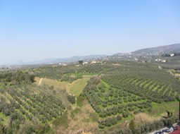 IMG_6012