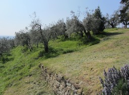 IMG_6023